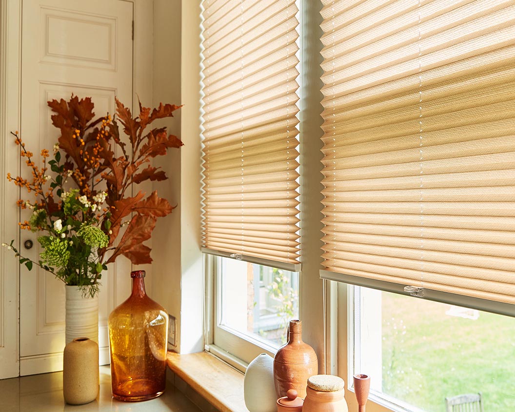 Pleated Blinds