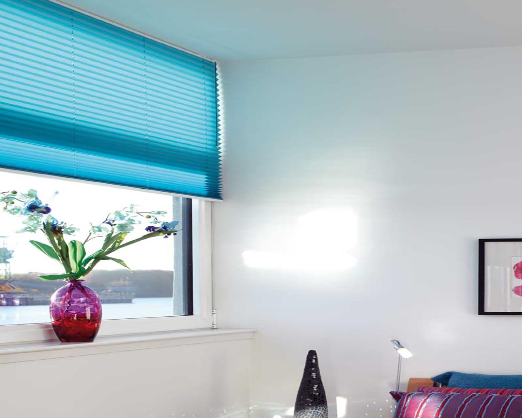 Pleated Blinds